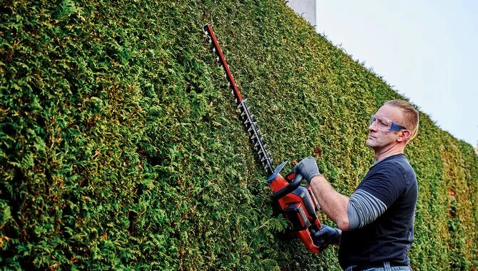 4 Quick Steps To Sharpen Hedge Trimmer Blades