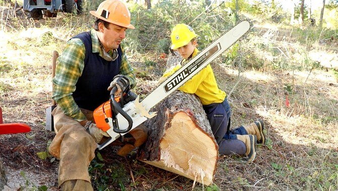 7 Easy Ways To Split Logs With A Chainsaw