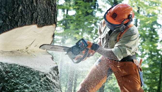 Get The Right Chainsaw.