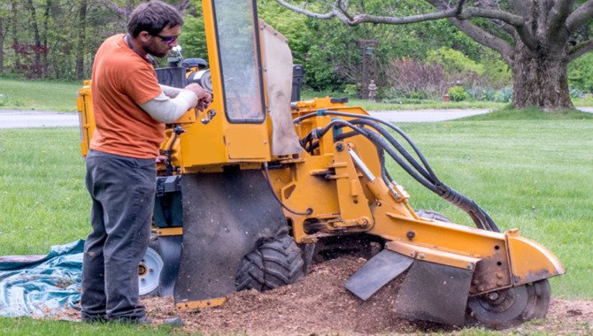 Set Up Your Stump Grinder And Follow These Processes Through