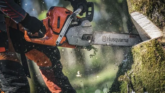 Test Drive Your Chainsaw