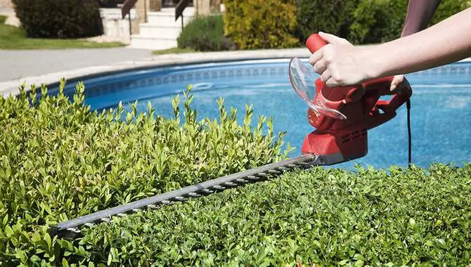 The Benefits Of Cleaning Hedge Trimmer Blades