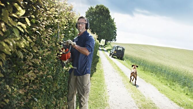 The Proper 7 Ways How To Clean Hedge Trimmer Blades