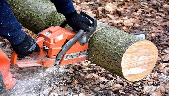 The Types Of Logs You Can Split With A Chainsaw