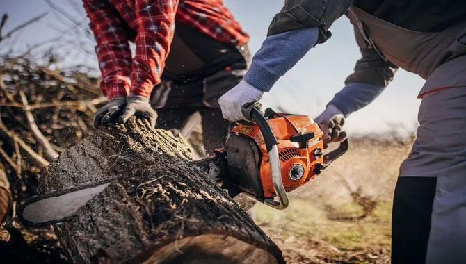 Tips For Safe And Effective Chainsaw Use