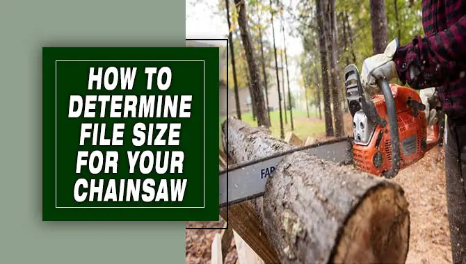 How To Determine File Size For Your Chainsaw