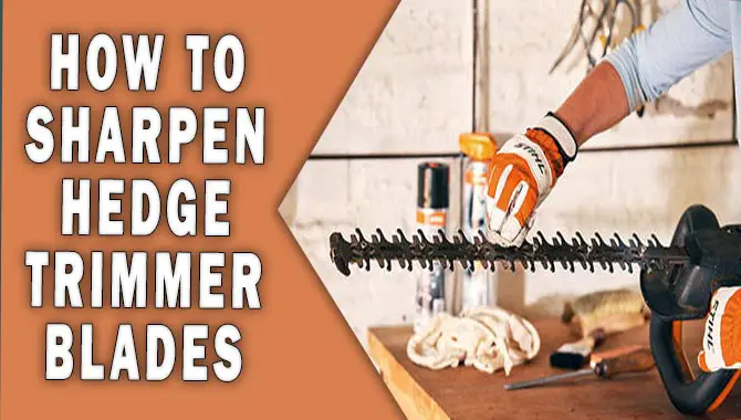 How To Sharpen Hedge Trimmer Blades