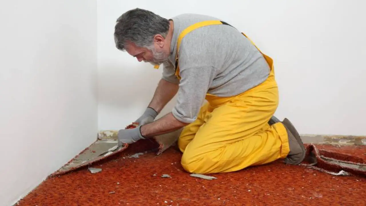 6 Steps How To Remove Carpet Glue From Concrete