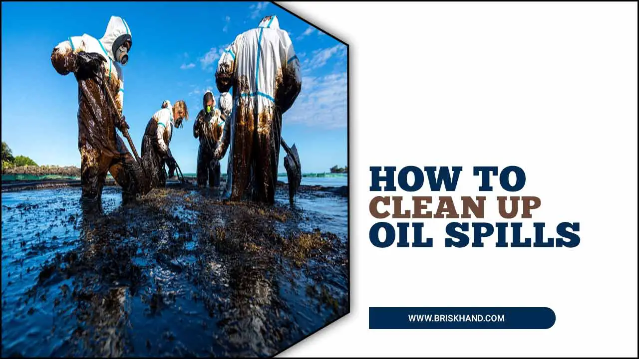 How To Clean Up Oil Spills